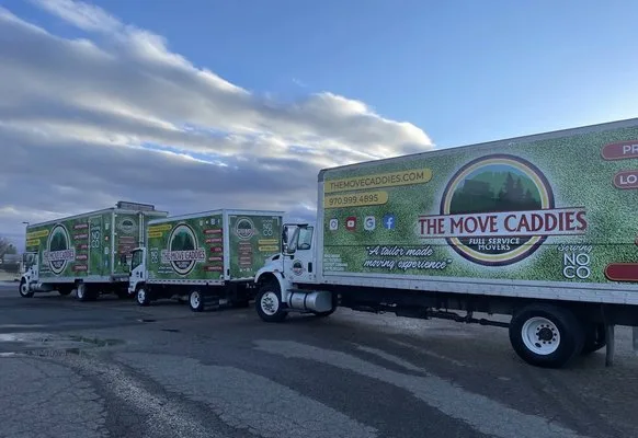 The Move Caddies LLC