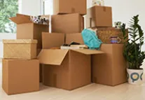 Majestic Mountain Movers photo 1