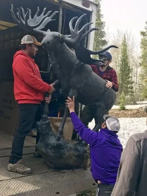 Majestic Mountain Movers